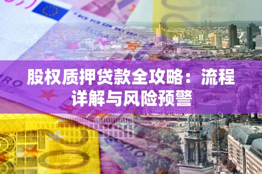 武汉股权质押贷款全攻略：流程详解与风险预警