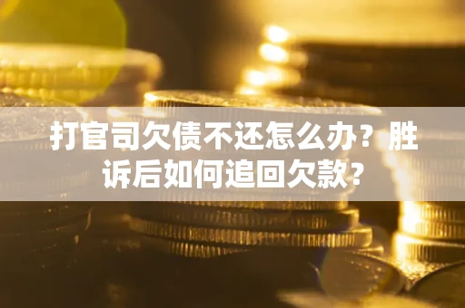 武汉打官司欠债不还怎么办？胜诉后如何追回欠款？