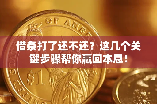 武汉借条打了还不还？这几个关键步骤帮你赢回本息！