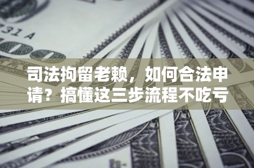 武汉司法拘留老赖，如何合法申请？搞懂这三步流程不吃亏！
