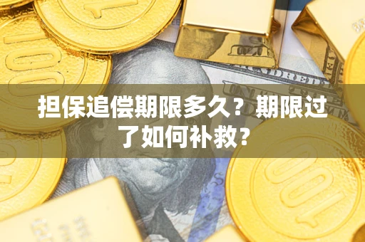 武汉担保追偿期限多久？期限过了如何补救？