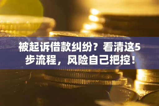 武汉被起诉借款纠纷？看清这5步流程，风险自己把控！