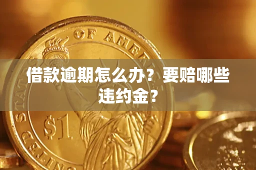 武汉借款逾期怎么办？要赔哪些违约金？