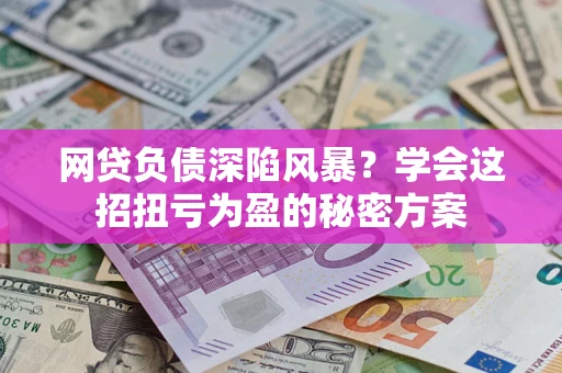 武汉网贷负债深陷风暴？学会这招扭亏为盈的秘密方案